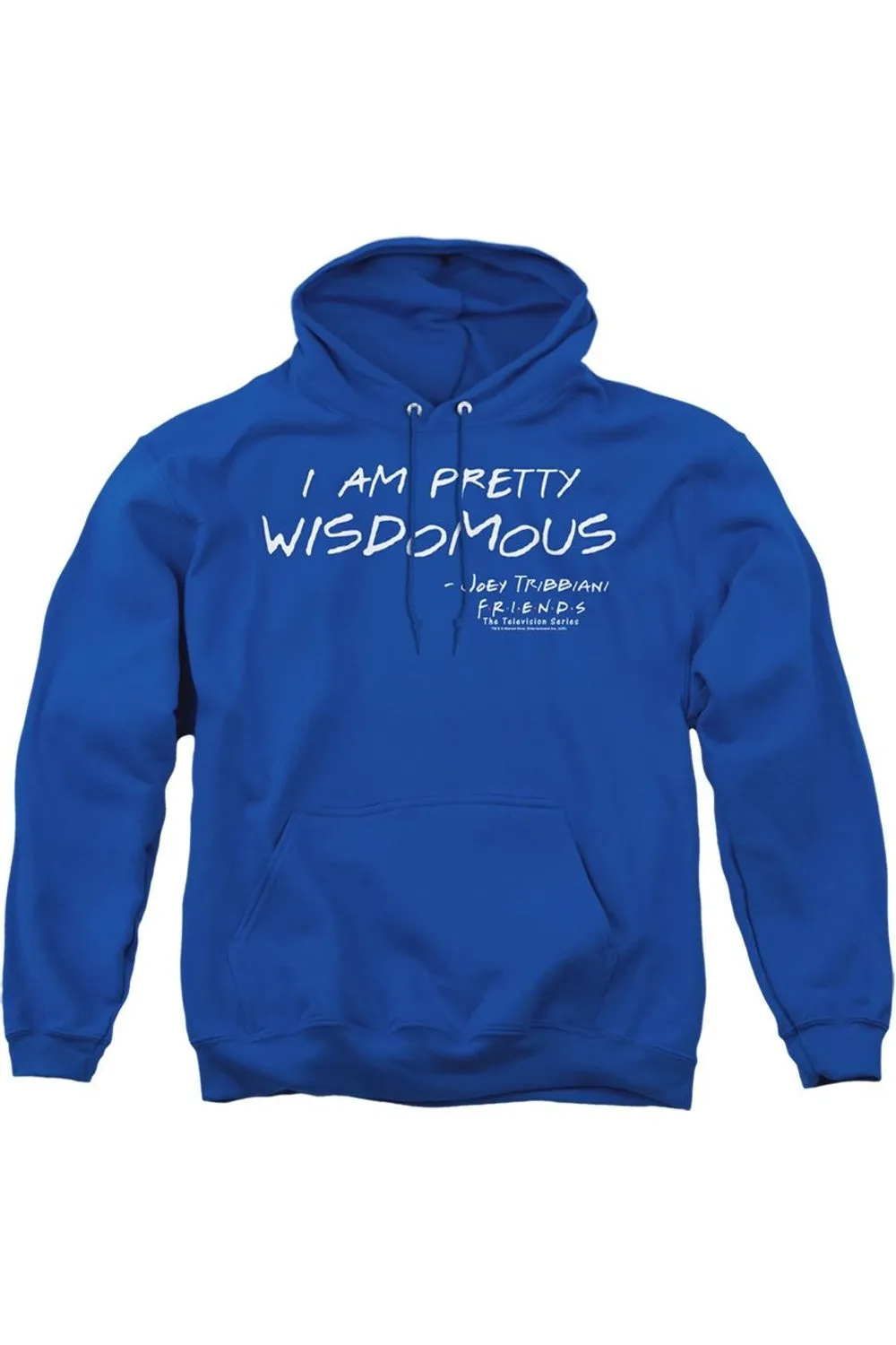 Friends Wisdomous Adult Pull Over Hoodie / Hooded Sweatshirt