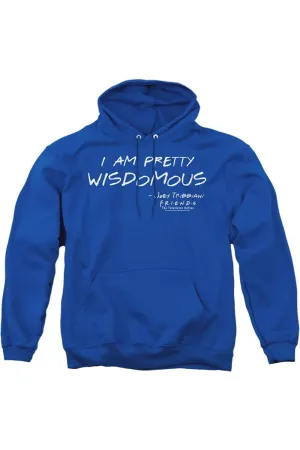 Friends Wisdomous Adult Pull Over Hoodie / Hooded Sweatshirt
