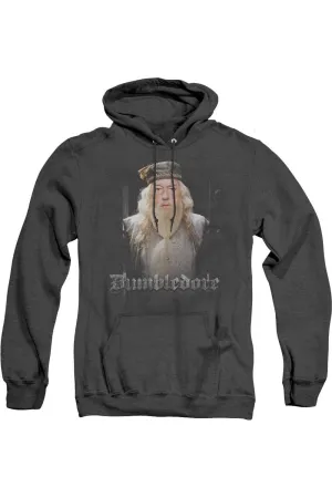 Harry Potter Dumble Doors Adult Heather Hoodie / Hooded Sweatshirt