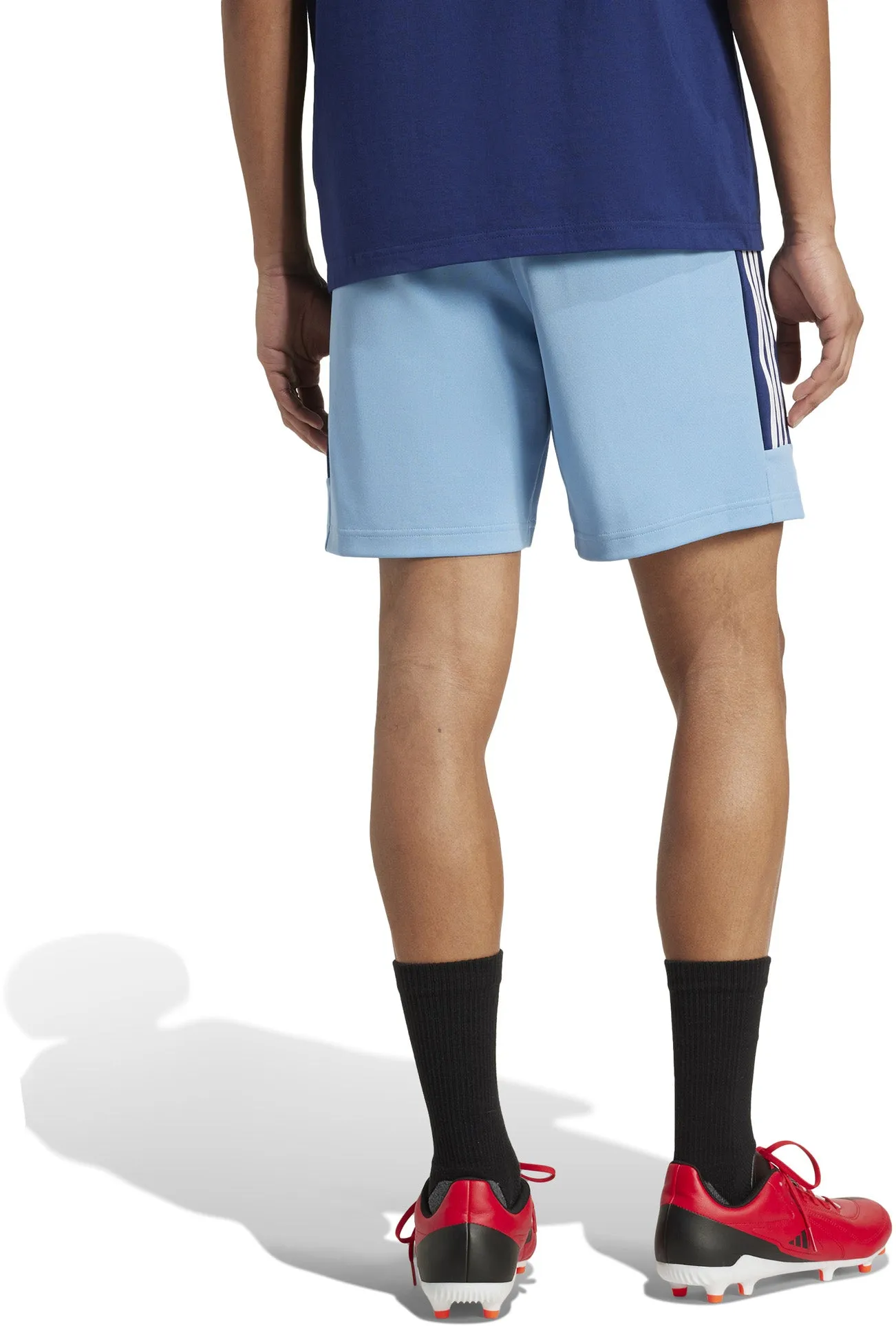Men's State Of Origin New South Wales Rugby Tiro Nations Pack Shorts