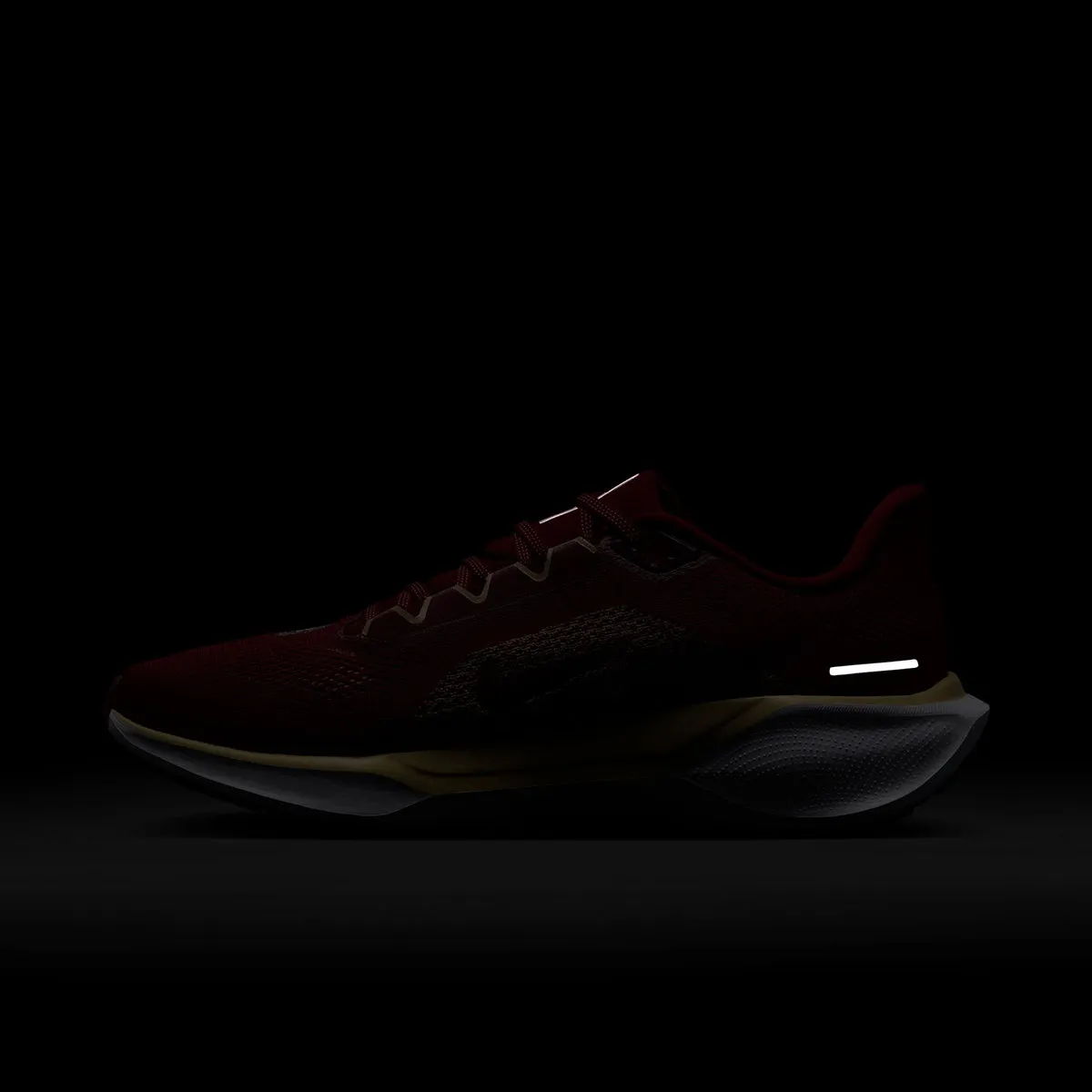 Nike Unisex 2024 Florida State Zoom Pegasus 41