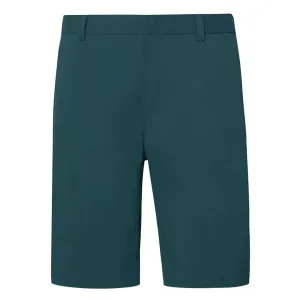 Oakley - Men's Performance Terrain Shorts (FOA401923 6LA)