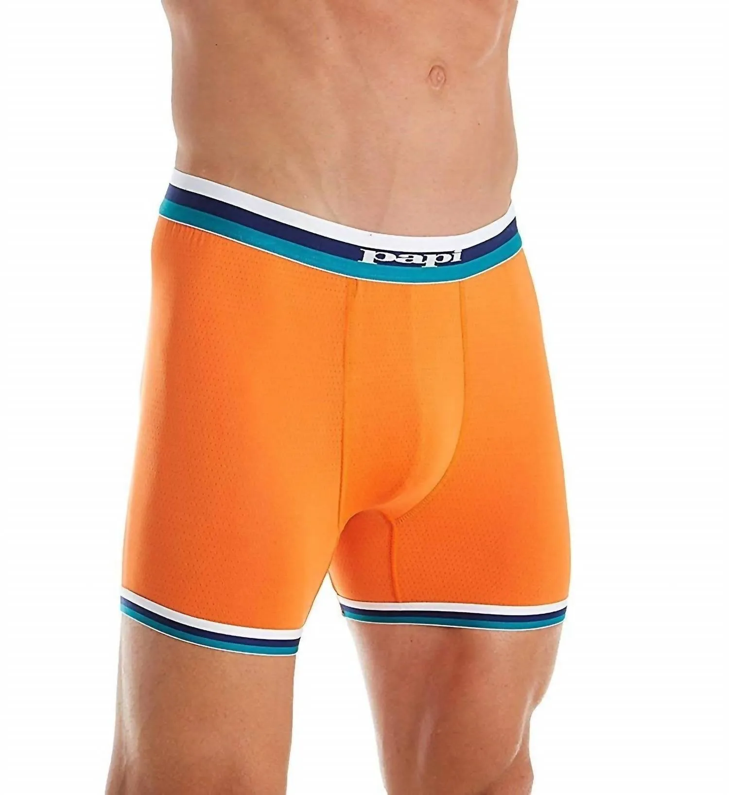 Retro Original Mesh Boxer Brief In Dragonfire